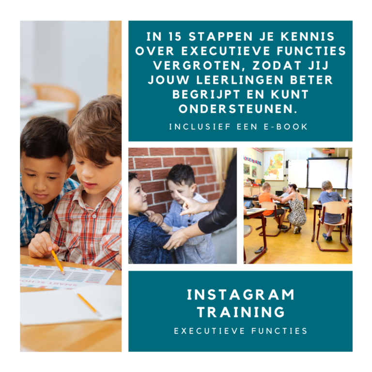nascholing executieve functies
